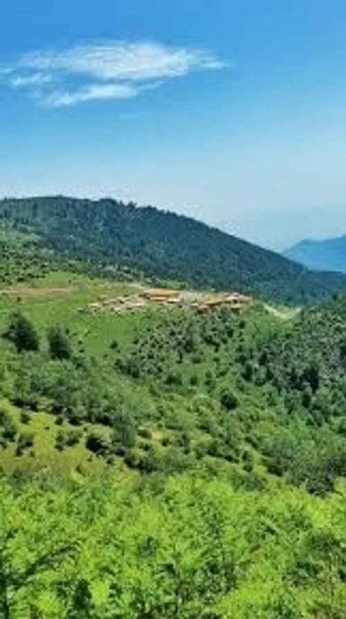 طبیعت زیبا