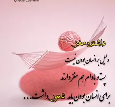 داشتن مغز