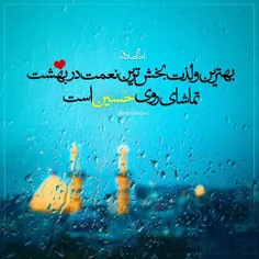 #حسین #کربلا #زیارت
