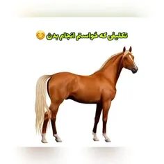 شما کدوم بودید؟؟😂😂😂