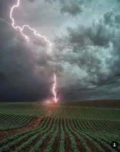 عکسی فوق العاده زیبا از برخورد رعد و برق با یک درخت در اس