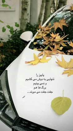 #آینده_نگری