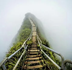 مسیر پلکانی به بهشت هاوایی