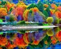 زیبا