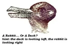 خرگوش یا اردک؟