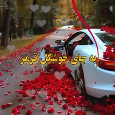 گله من🌹🌹🌹🌹🌹🌹🌹🌹🌹🌹🌹🌹