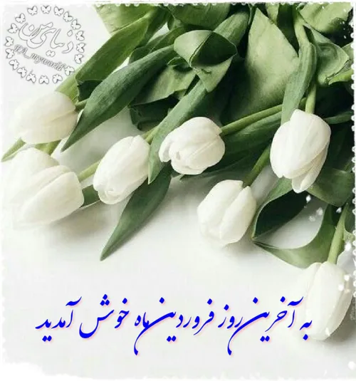 آرزو میکنم