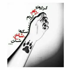 عکس نوشته gelareh70 20124865