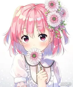 💝🌸💝🌸