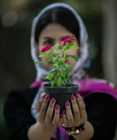 محبت گوهر گرانبهایی است که دربرخی ازقلبها روی آن خاکستر ن