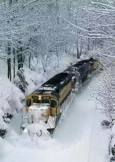 #برف_زمستان_زیبا !