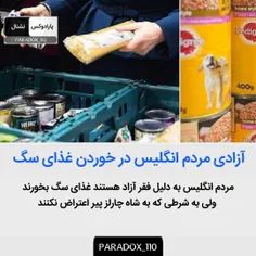 آزادی مردم انگلیس در خوردن غذای سگ 