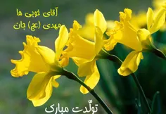 تبریک میلاد امام عصر(عج)