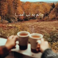 من متوجه شدم که، در اعماق نفرت درونم،