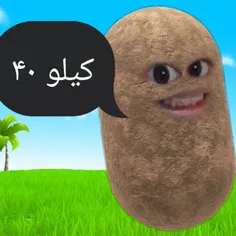 حرفی ندارم😑