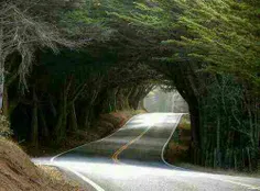 عاشق طبیعت