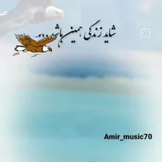السلام علی المهدی عج 