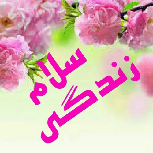 🌸 🍃 صبـــــح