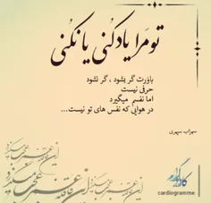 نفسم می گیرد در هوایی که نفس های تو نیست...!!