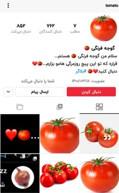 گوجه هم‌نشدیم برامون فن بزنن☹😅