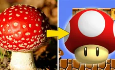 🌍 قارچ معروف در بازی سوپرماریو الهام گرفته شده از قارچی و