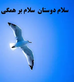 سلام دوستای خوبم  برادران و خواهرای خوبم سلام دلم براتون 