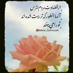 shahrzad_17m 37935792