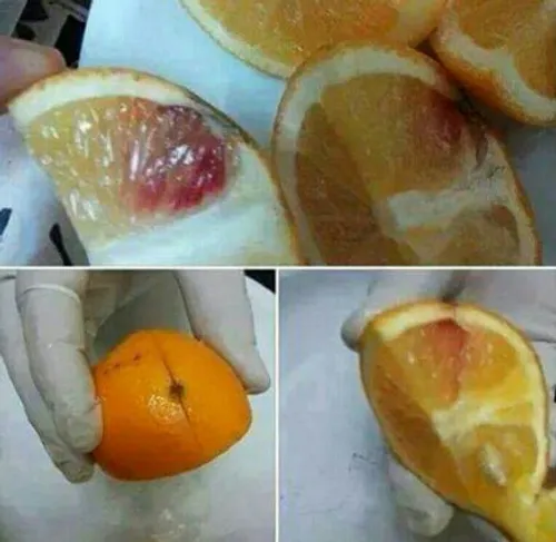 بچه هادیگ پرتقال خونی نخورید.که خارج دارن ب پرتقال های خو