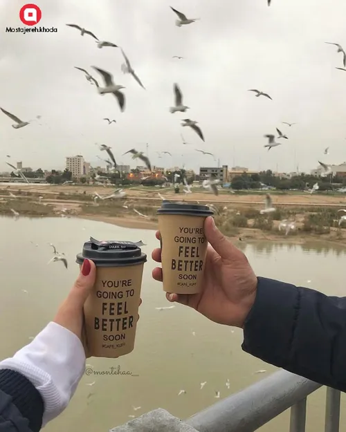 عاشقِ کبوتر بود...👌❤🍀