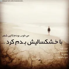 چاووشی