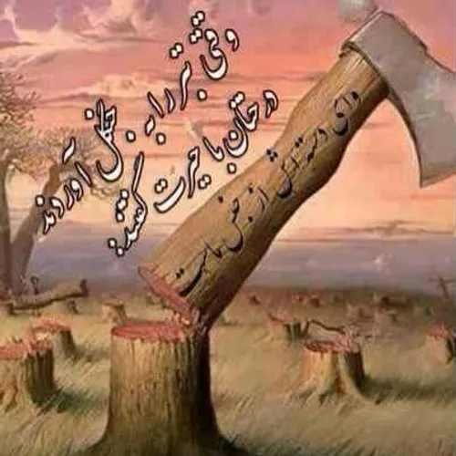 نظرشماچیه