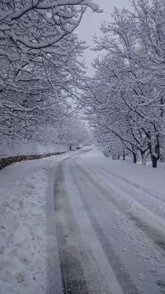 📸 تصویری زیبا از بارش برف 