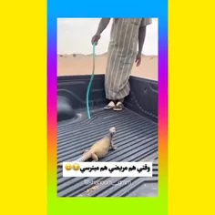 الحق که خود منه🤣