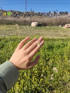 انشاالله حال خوب روزی دل امام زمان باشه 💚✨