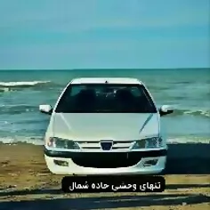 سلامتی تنهای وحشی جاده شمال