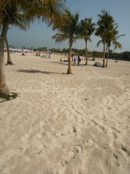 هممییین الان یهویی در ساحل دبی