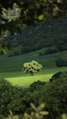 #ایران_زیبا🇮🇷