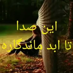 safa130 76003141