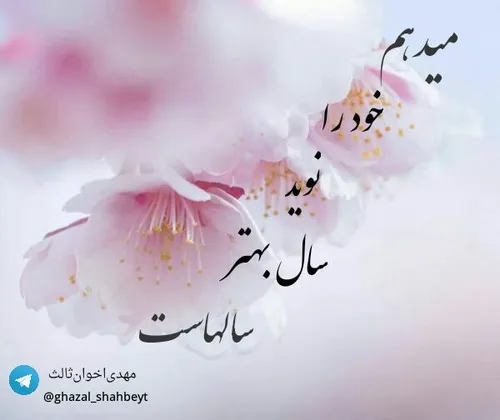 می دهم