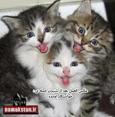 البته همه مثل هم نیستنداااا