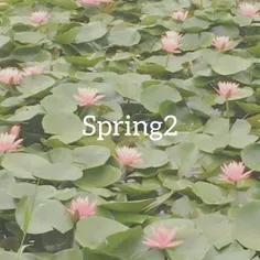 spring 2