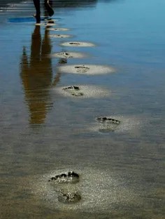 هیچ بارانی ردپای خوبان را