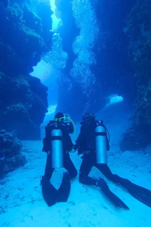 غواصی diving