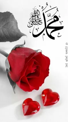 مذهبی 🌸 اللهم صلی علی محمد وال محمد وعجل فرجهم 🌸