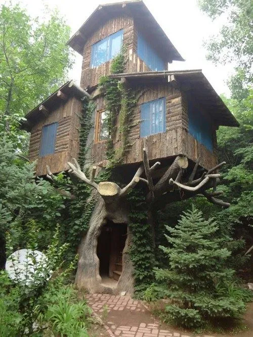 خانه ی درختی