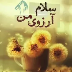 ⁨🔸ای وصالت آرزوی عاشقان