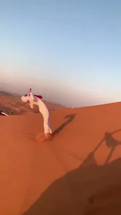 از صحنه هایی که تو صحرای دوبی میتونین بینین 👌