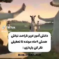 یکی بهم بگه چجوری نازا شم🥲🤣🗿