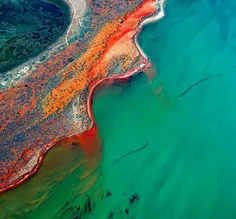 خلیج "شرک" در استرالیا آمیخته‌ای از آب‌های آبی، صخره‌های 