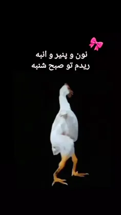 عربی🤡👍🏻